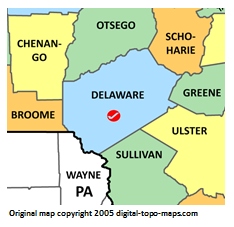 NY DELAWARE.PNG