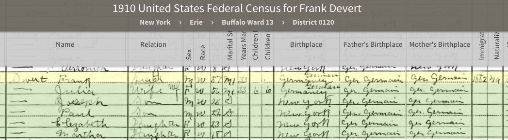 NY census 7.png