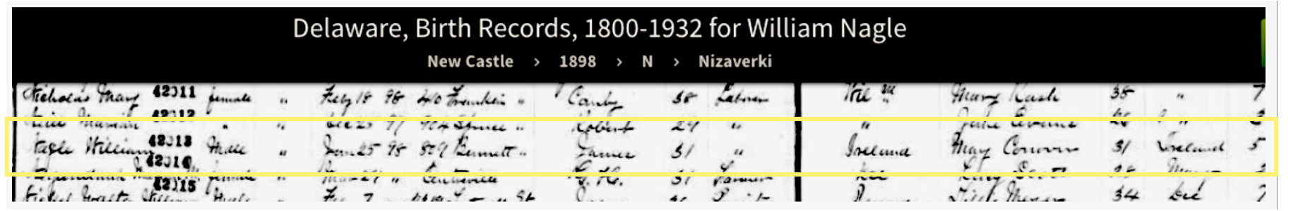 Delaware birth highlighted.png